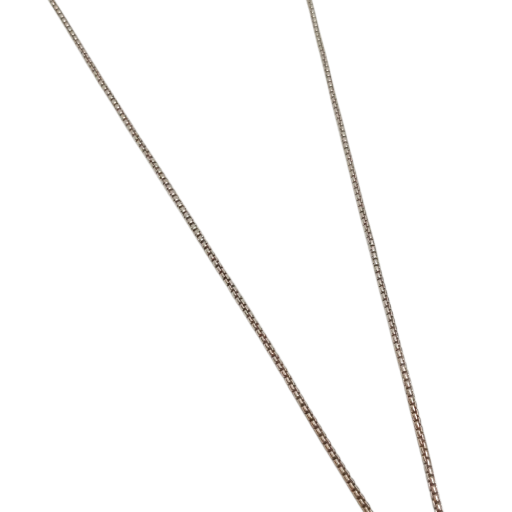 Silver Chain 31